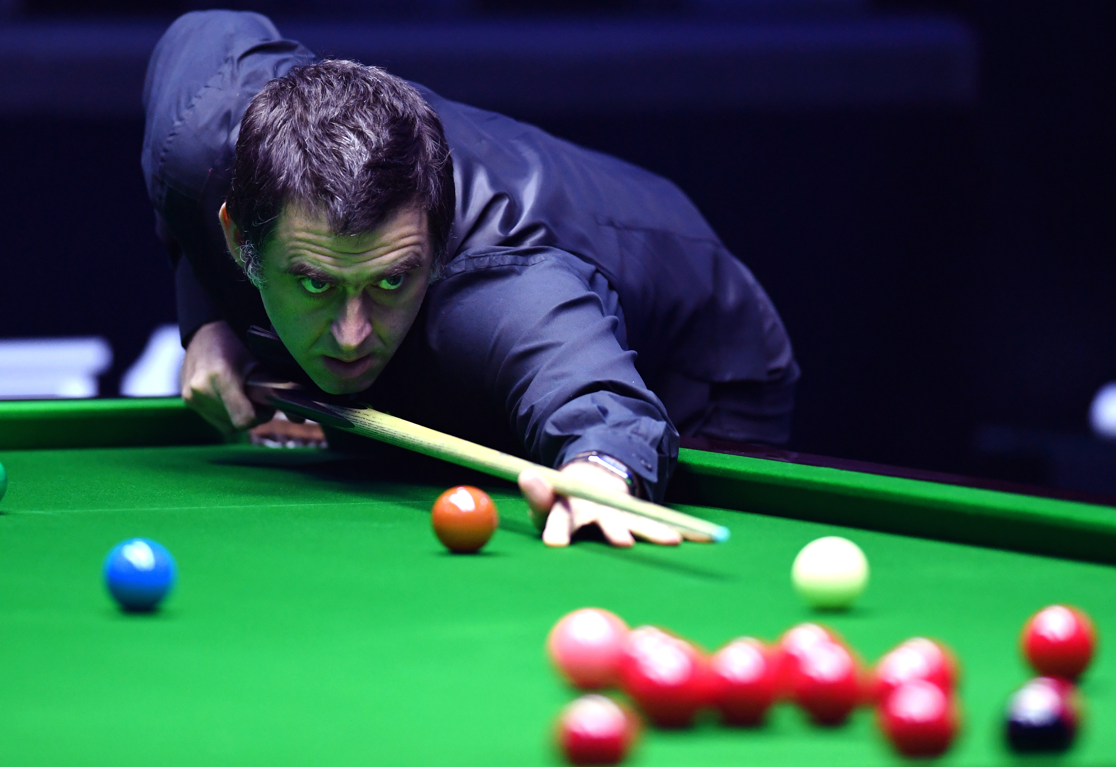 场馆在功能 场馆在功能