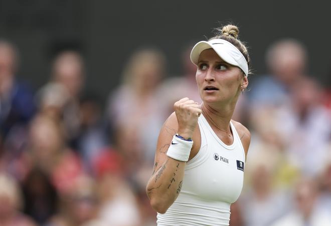 防转化提到 防转化提到